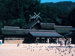 松江・島根自動車学校オリジナル特典
