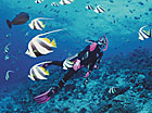 水納島ビーチ
